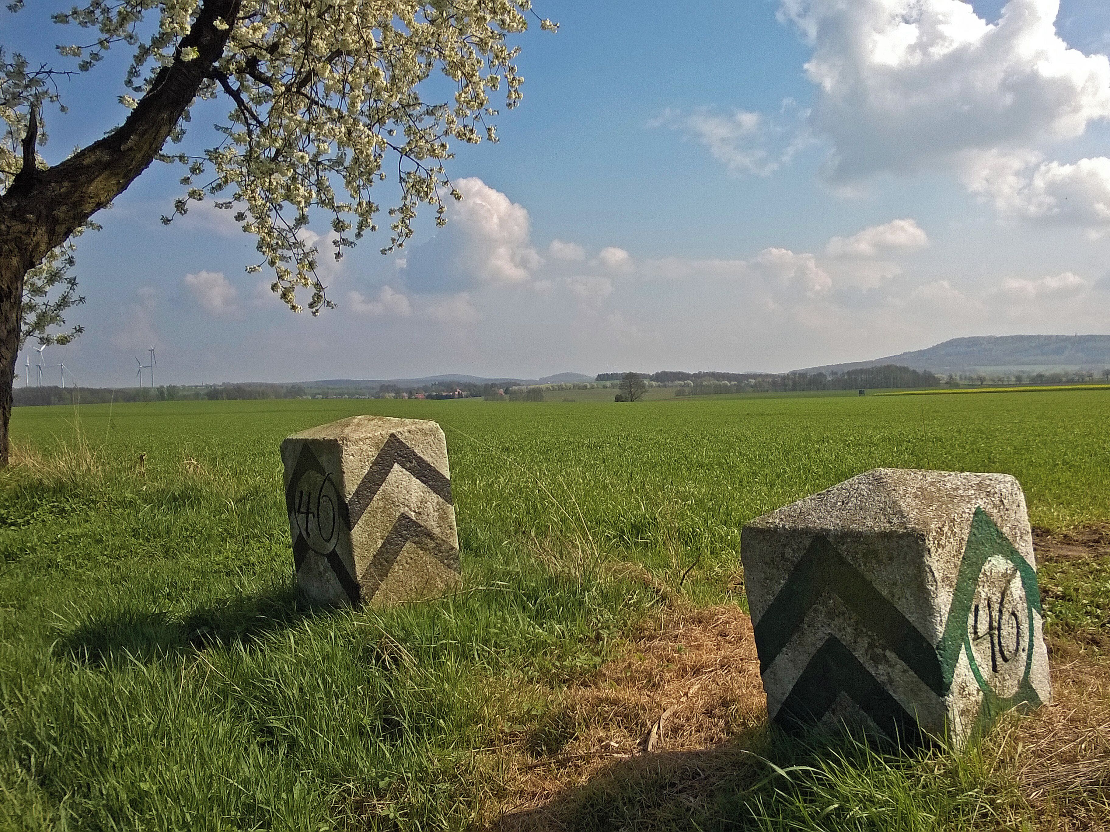 Two stone markers with chevron patterns and numbers in a grassy field with a tree and wind turbines in the background.