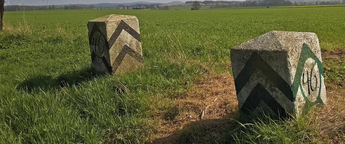 Two stone markers with chevron patterns and numbers in a grassy field with a tree and wind turbines in the background.