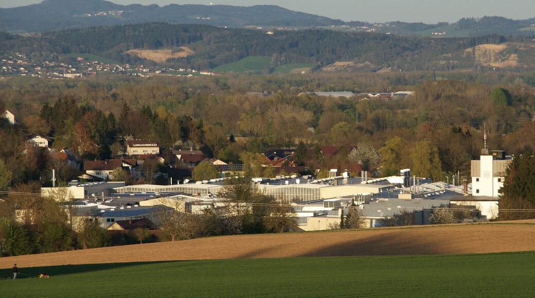 English: Loher GmbH, Ruhstorf an der Rott