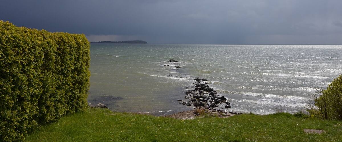 A coastal landscape with a hedge, rocky shoreline, and a distant island under a cloudy sky.