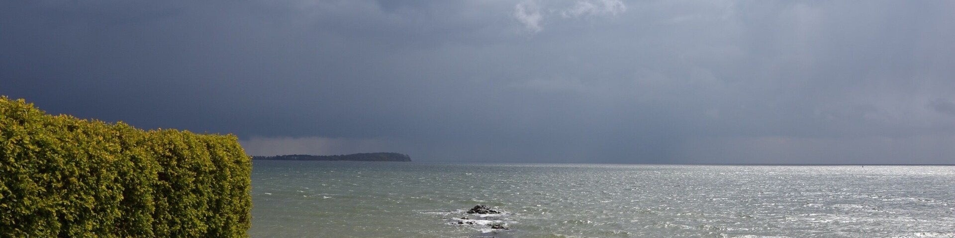 A coastal landscape with a hedge, rocky shoreline, and a distant island under a cloudy sky.