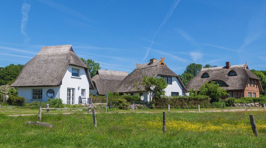 Houses with thatched roofs in Groß Stresow, district of Putbus, Landkreis Vorpommern-Rügen, Mecklenburg-Vorpommern, Germany.
