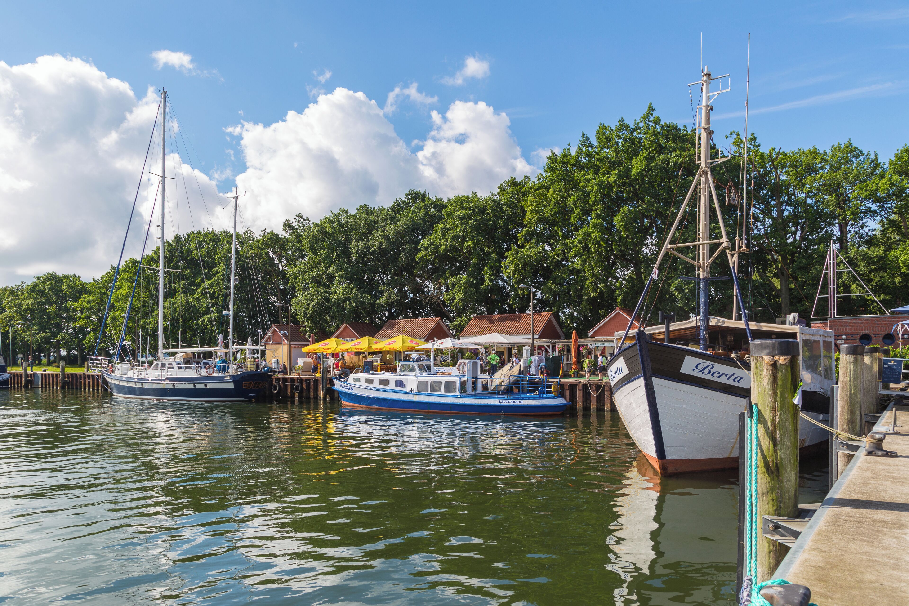 A marina with several boats docked, a wooden pier, and a backdrop of trees and buildings.