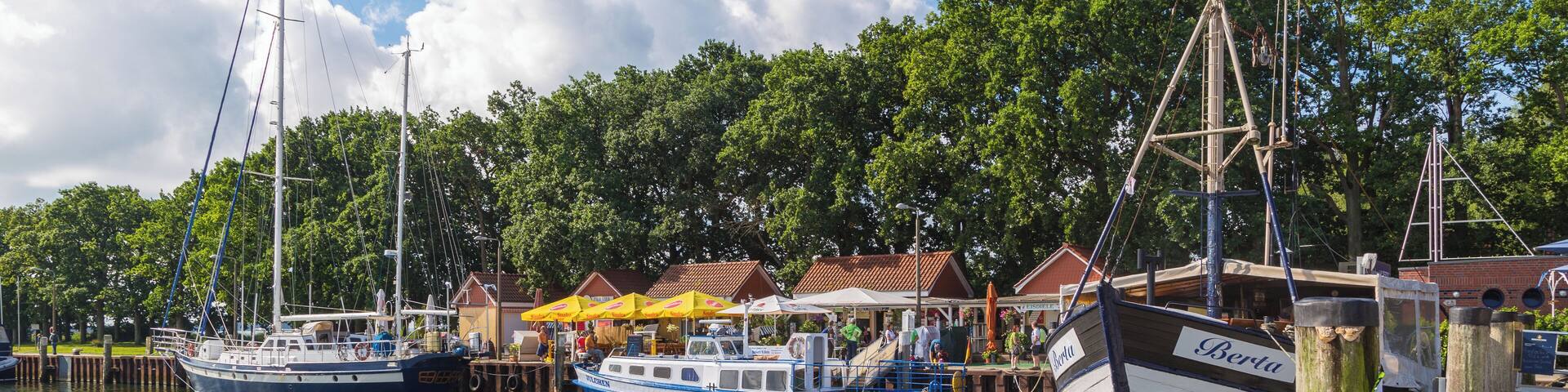 A marina with several boats docked, a wooden pier, and a backdrop of trees and buildings.