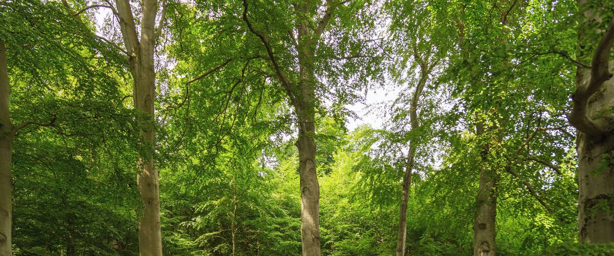 This is a picture of the protected area listed at WDPA under the ID