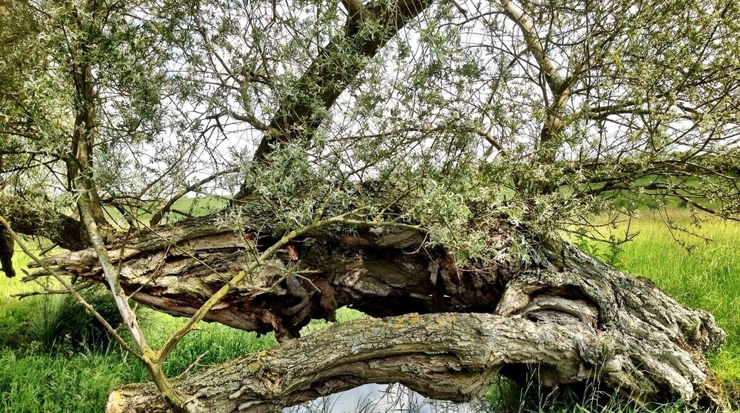 District de North Kesteven