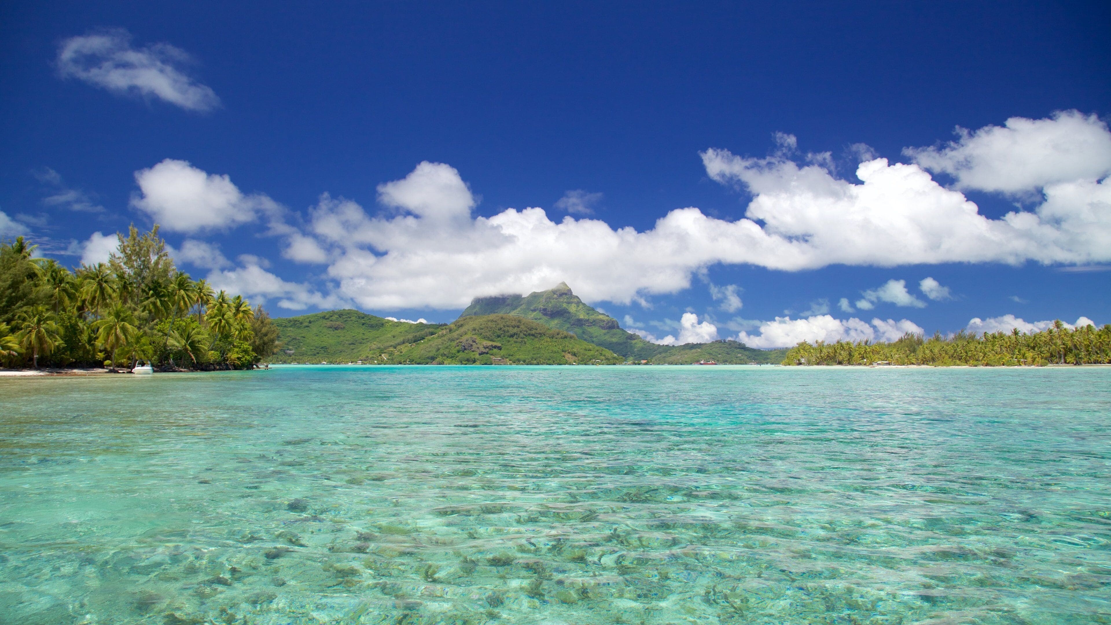 Visit Bora Bora: 2026 Travel Guide for Bora Bora, Leeward Islands