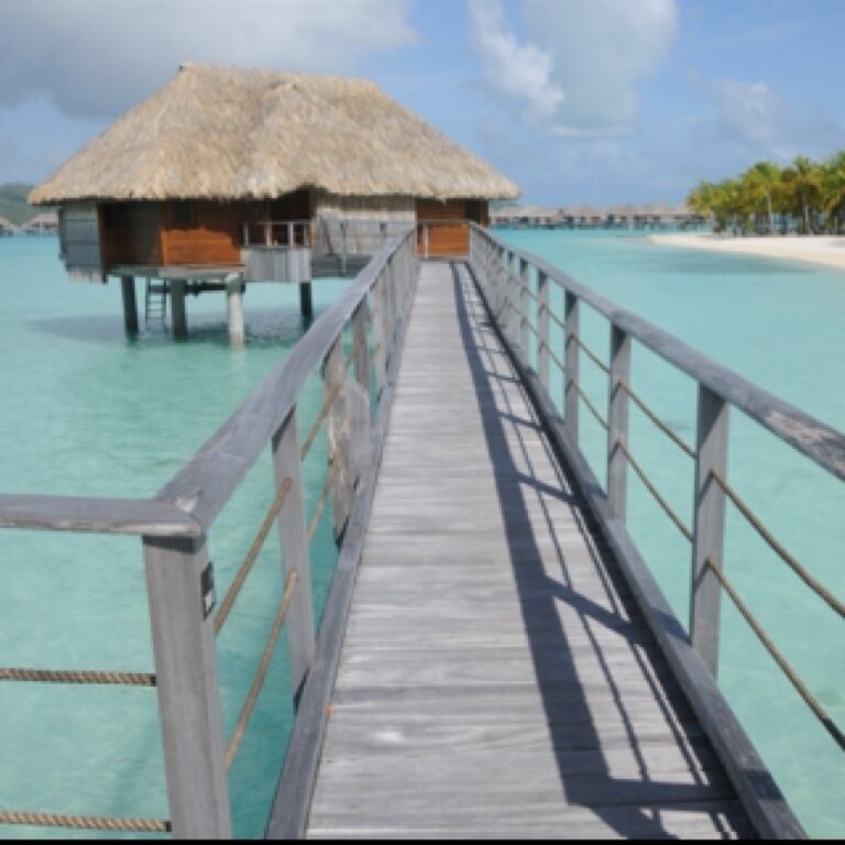 The overwater huts are simply awesome! There are rectangles in the floor offering views of the water underneath from inside. Jump off your porch and go for a swim !! I have travelled extensively and this place just shot to the top of my list ! I'm officially jaded now.