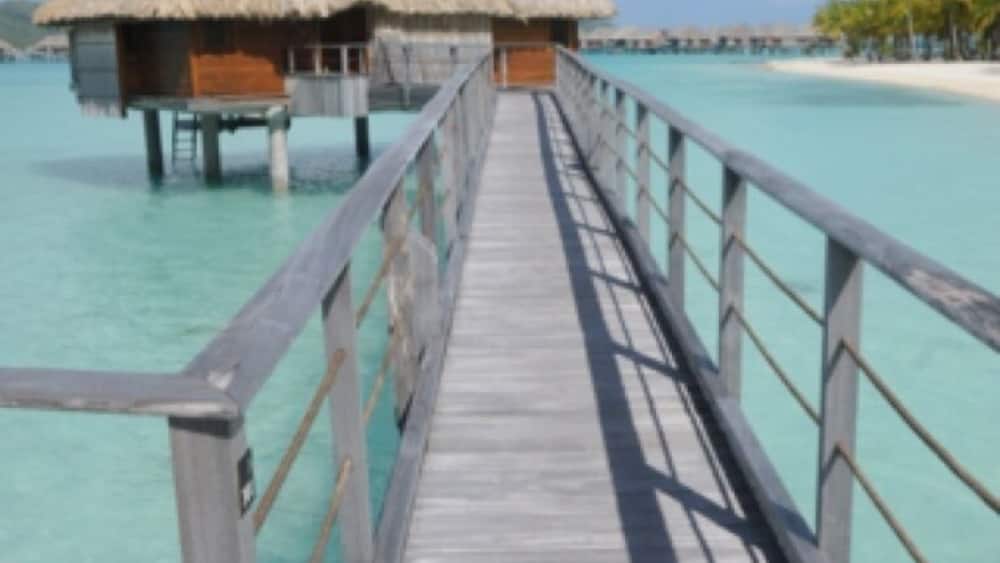 The overwater huts are simply awesome! There are rectangles in the floor offering views of the water underneath from inside. Jump off your porch and go for a swim !! I have travelled extensively and this place just shot to the top of my list ! I'm officially jaded now.
