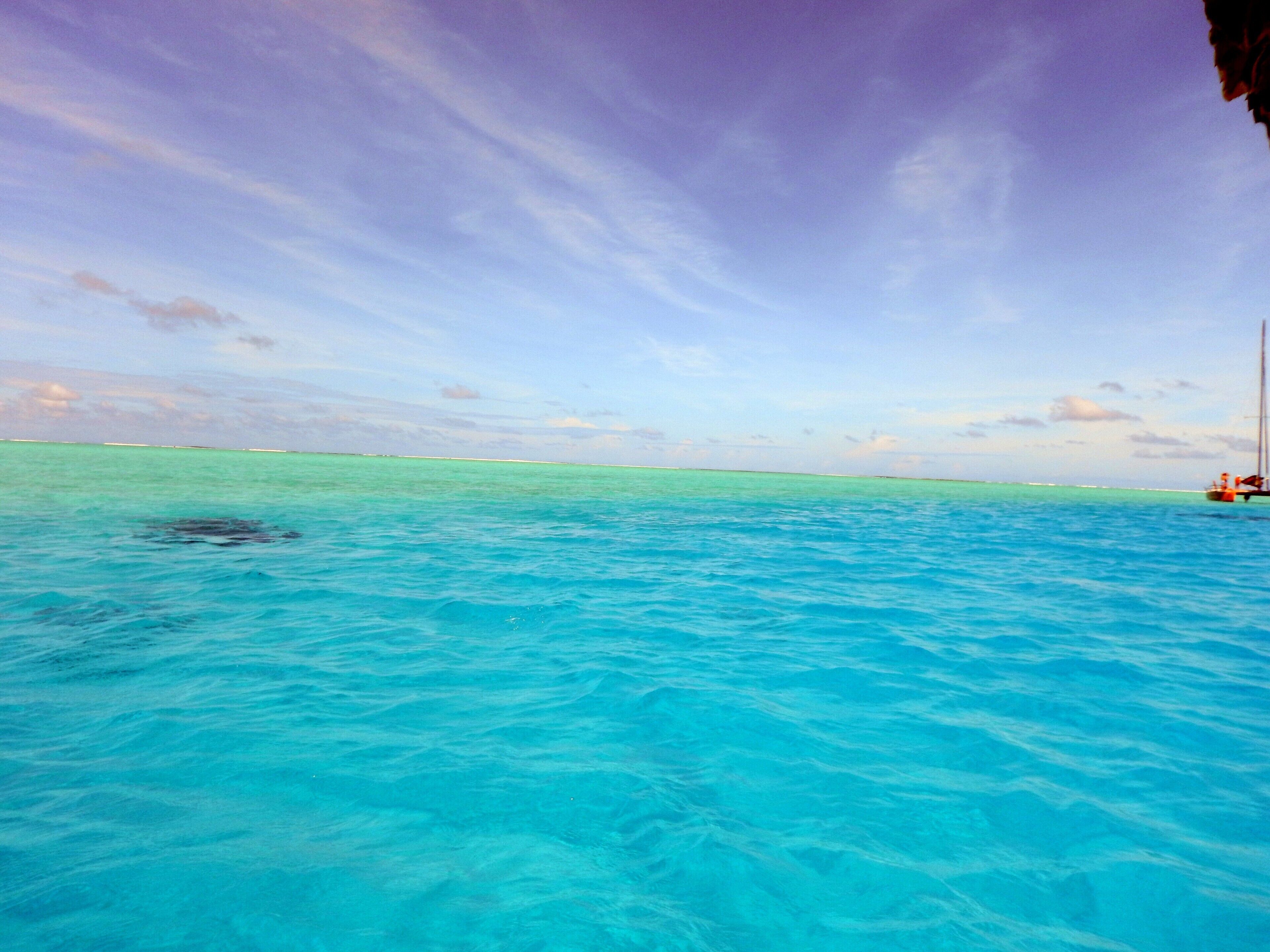 Yes, Paradise.  BORA BORA LIVES UP TO ITS REPUTATION.
Boat trip out to the reef to swim with the wildlife in their habitat.  
Magnificent.  
Recommend touring with MAOHI NUI.
Māuruuru (Thank you!)