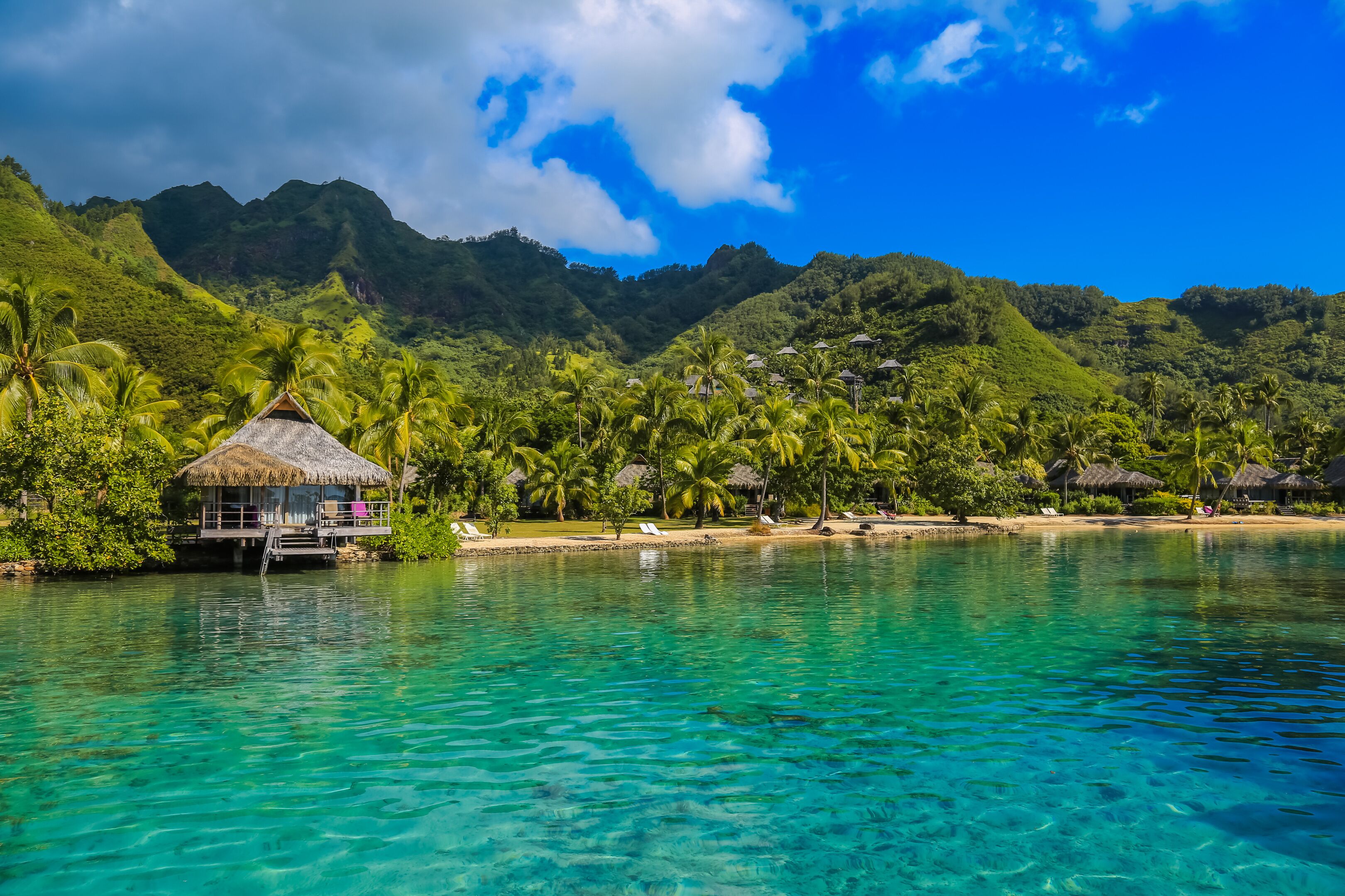 A tropical island with clear turquoise waters, palm trees, and a thatched-roof hut.