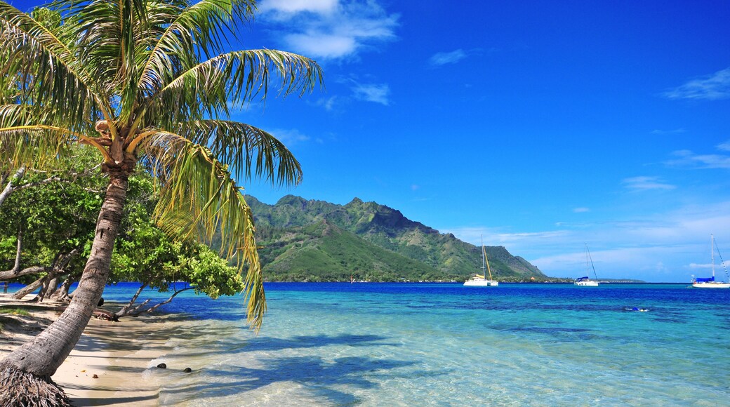 Turquoise waters off Moorea in Tahiti, French Polynesia