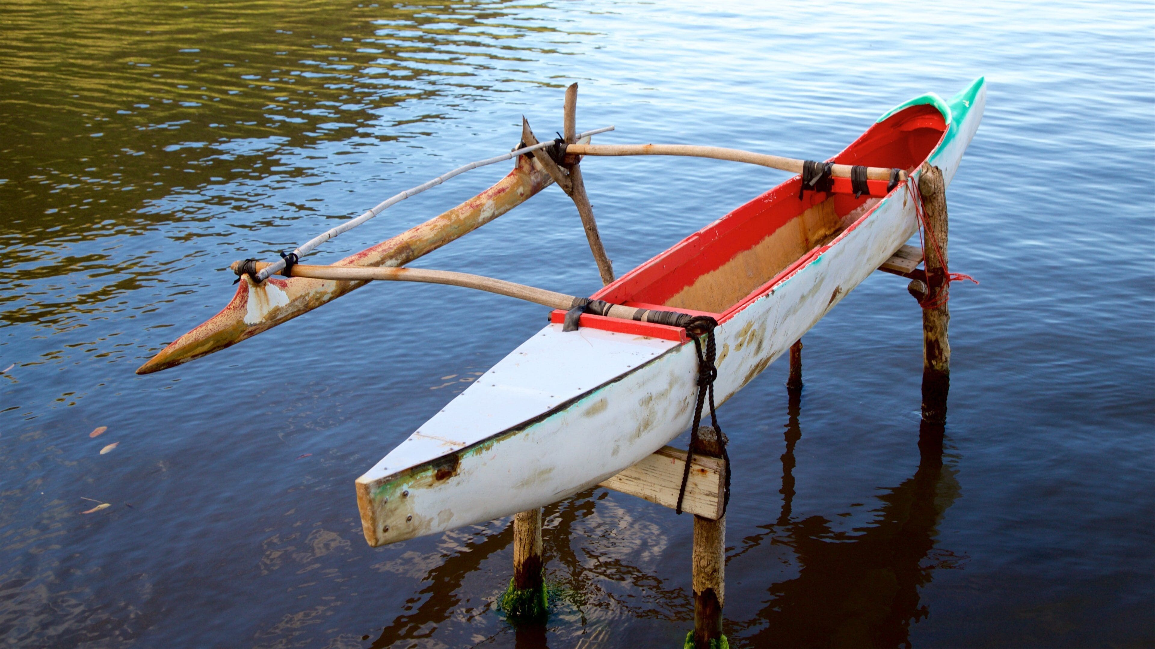 Moorea caracterizando um lago ou charco