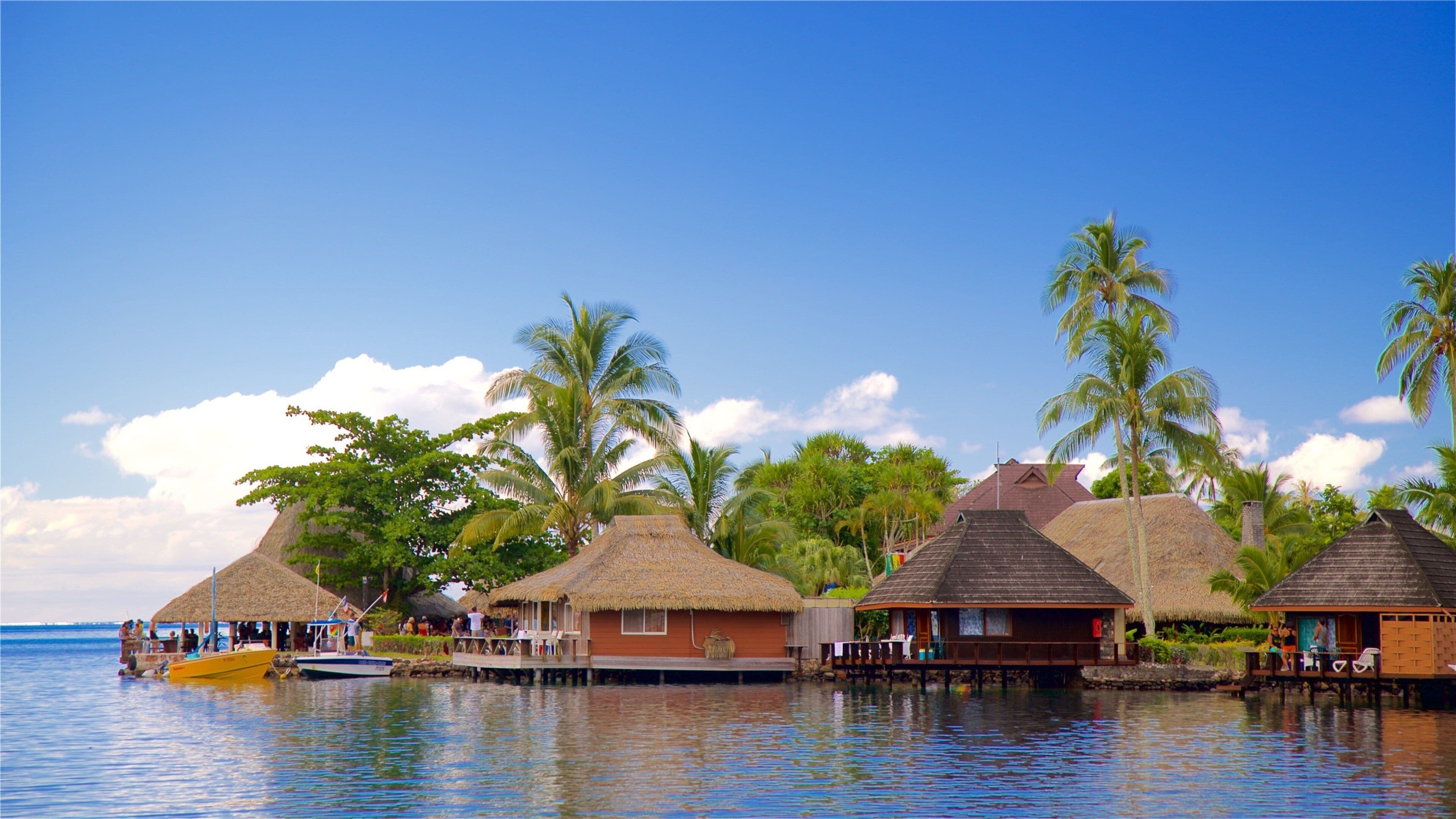 Moorea ofreciendo escenas tropicales y vista general a la costa