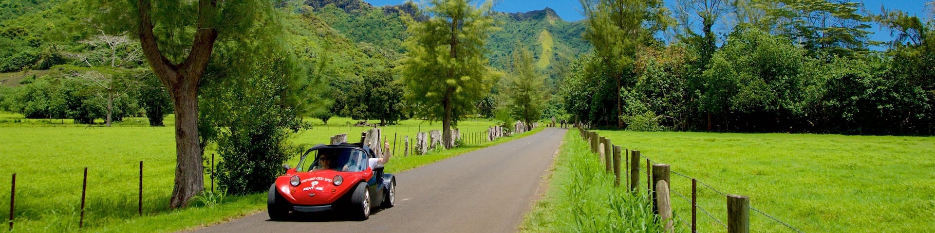 Moorea which includes tranquil scenes