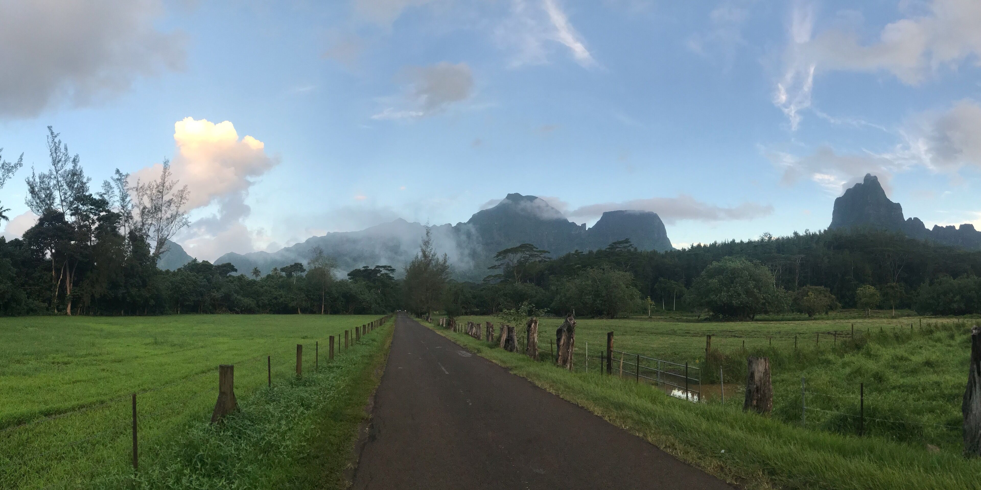 ‘Opunohu valley and it’s mountains. The most famous being mou’a roa, in the shape of a shark tooth.