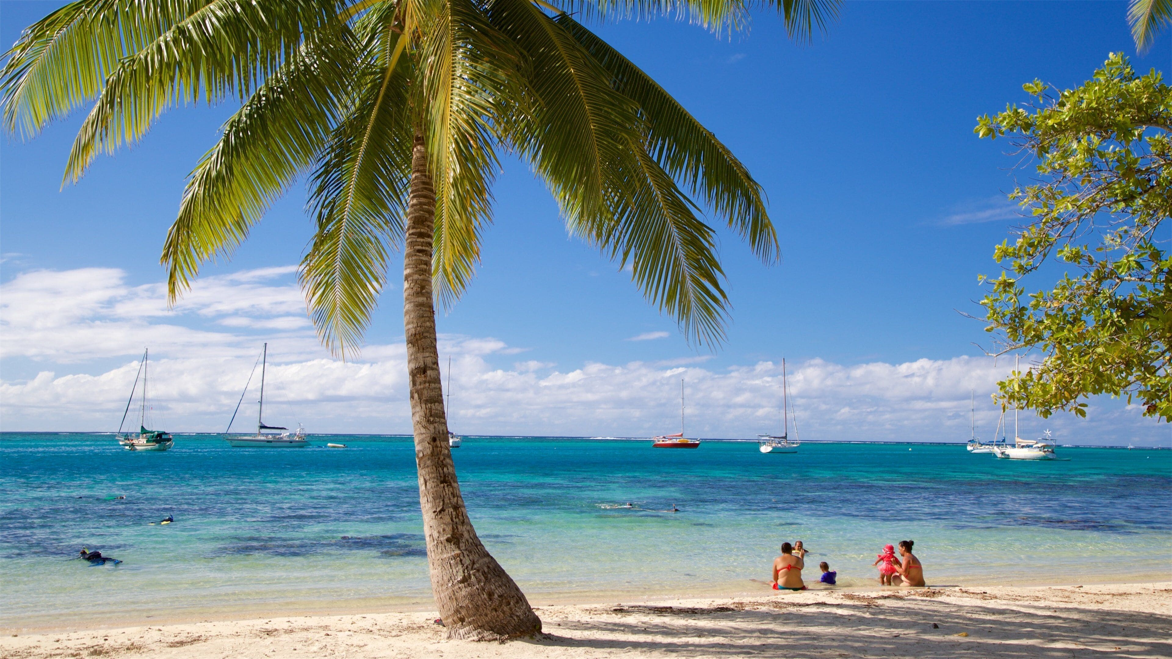 Moorea which includes general coastal views, tropical scenes and a beach