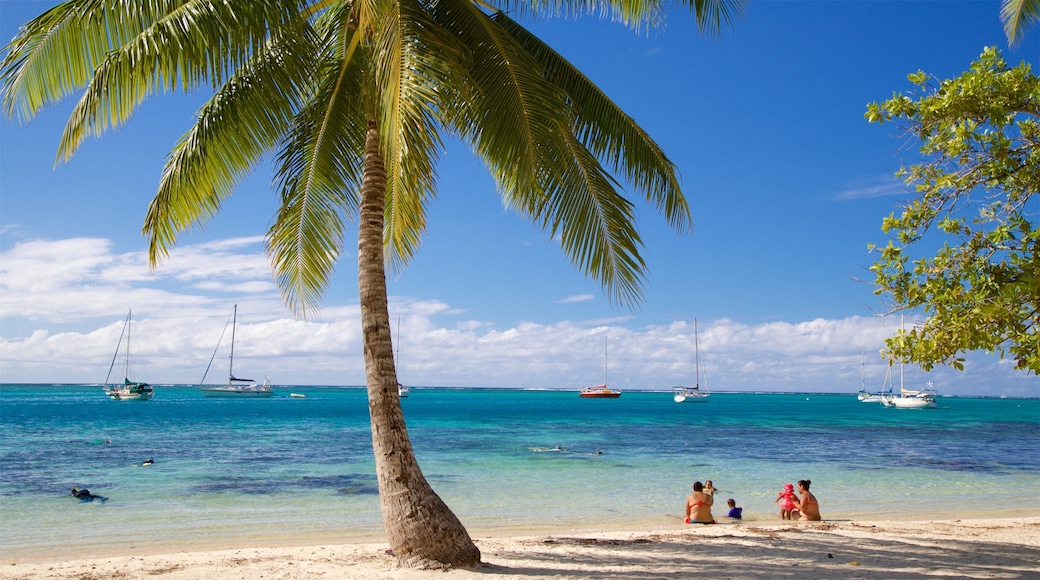 Moorea which includes general coastal views, tropical scenes and a beach
