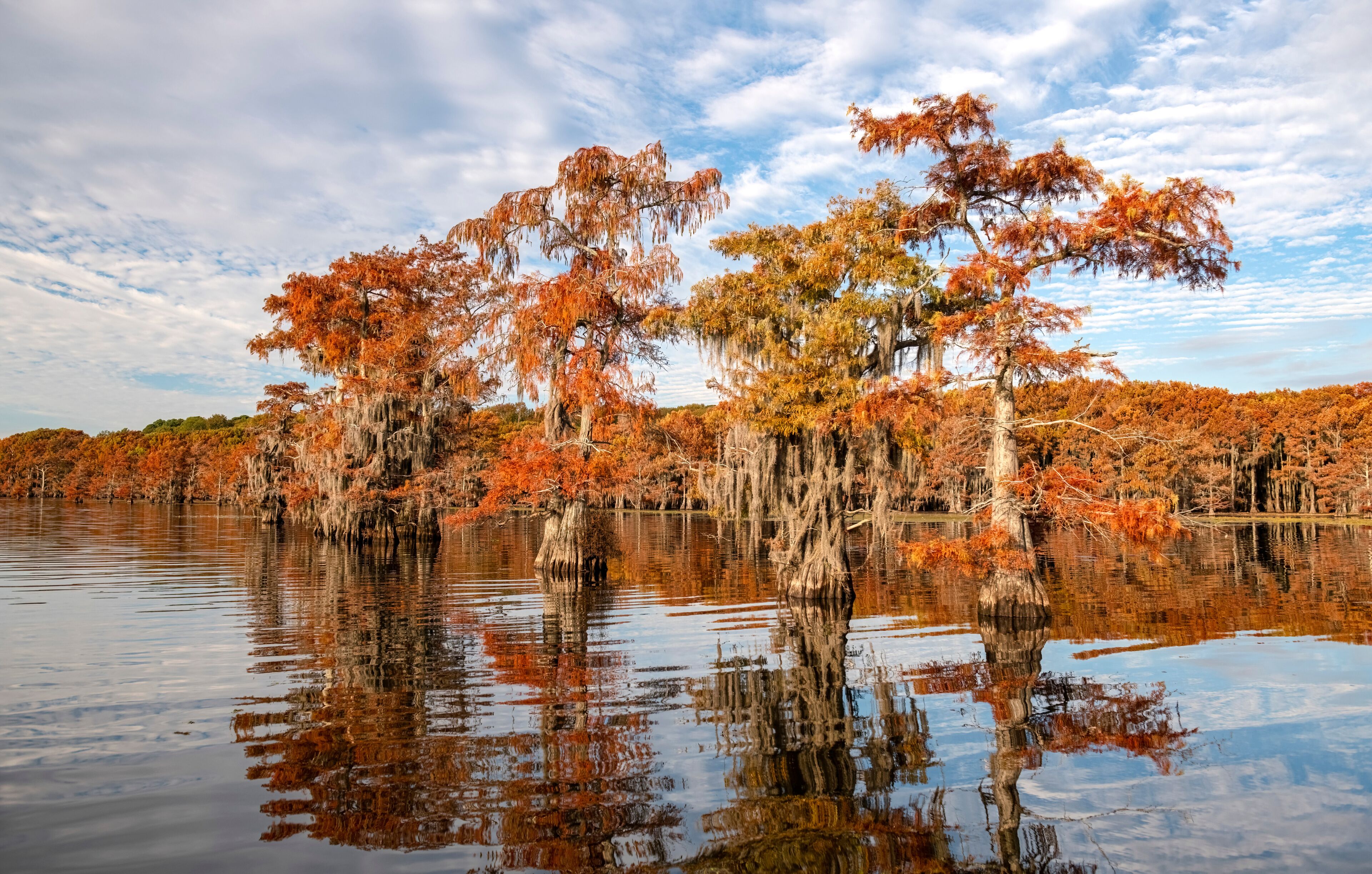 A serene lake with autumn-colored trees and reflections.