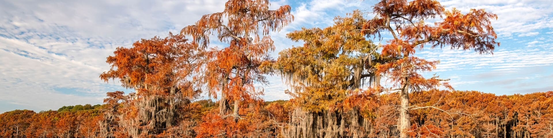 A serene lake with autumn-colored trees and reflections.