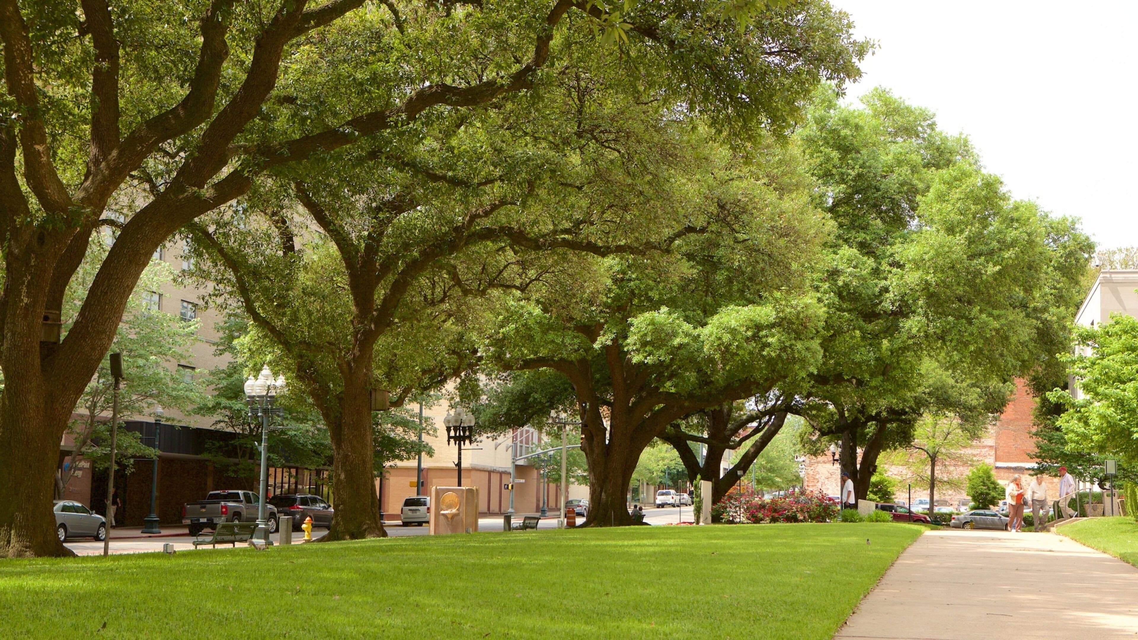 Shreveport featuring a park