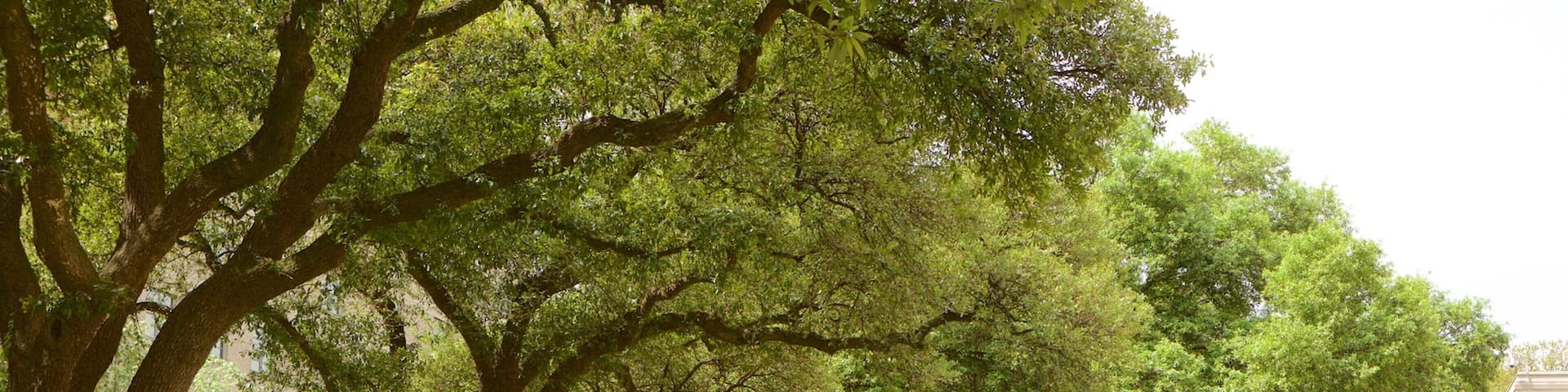 Shreveport featuring a park