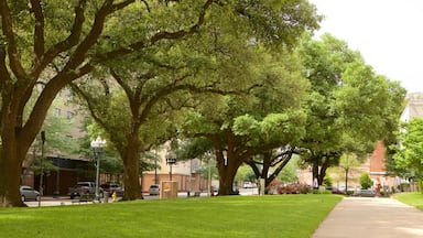 Shreveport which includes a garden