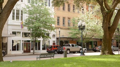 Shreveport which includes a garden