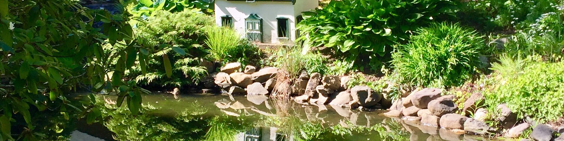 Beautiful park! #reflections