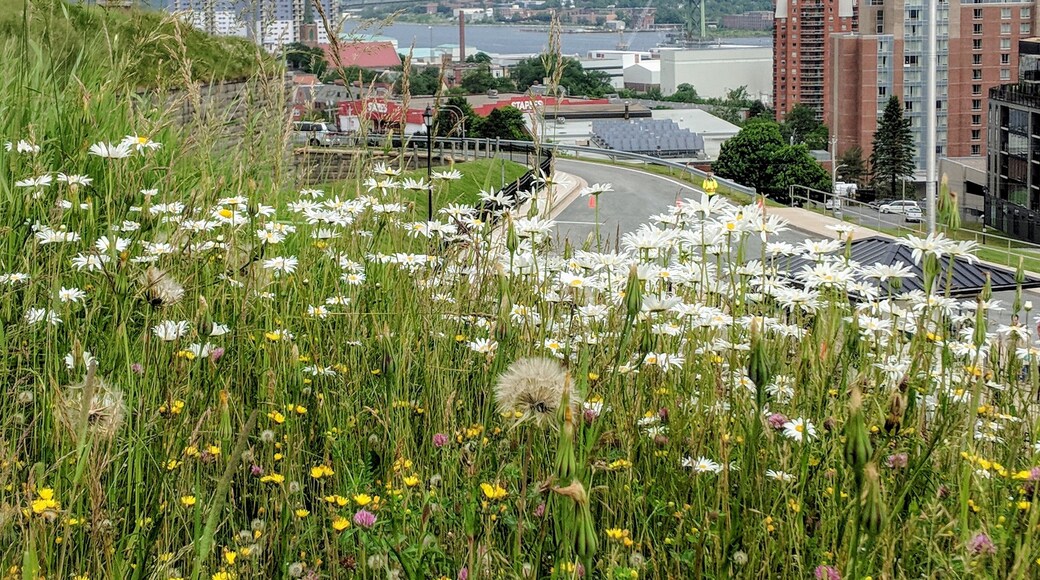View from one of the gun emplacements.