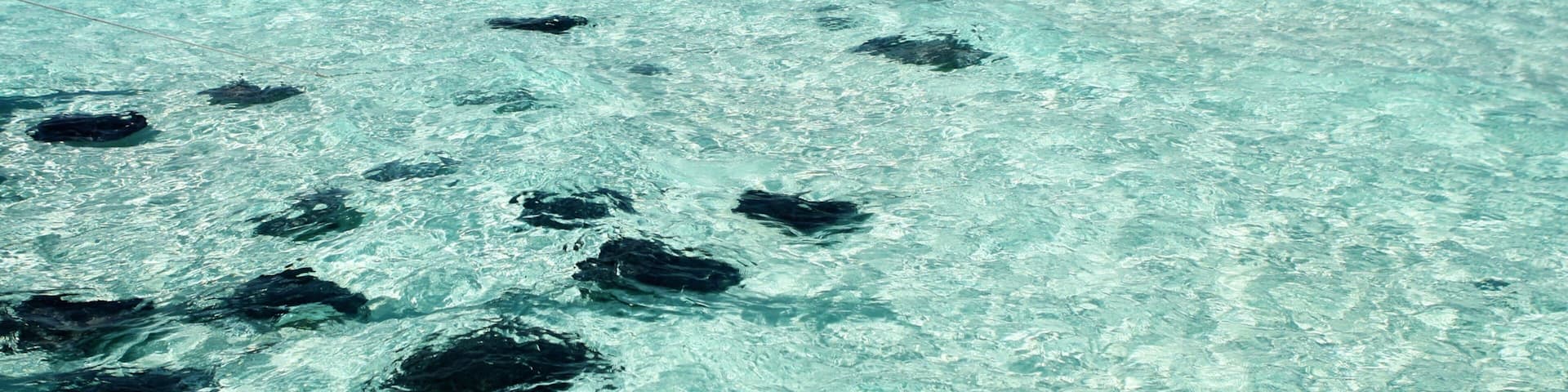 Grand Cayman featuring boating