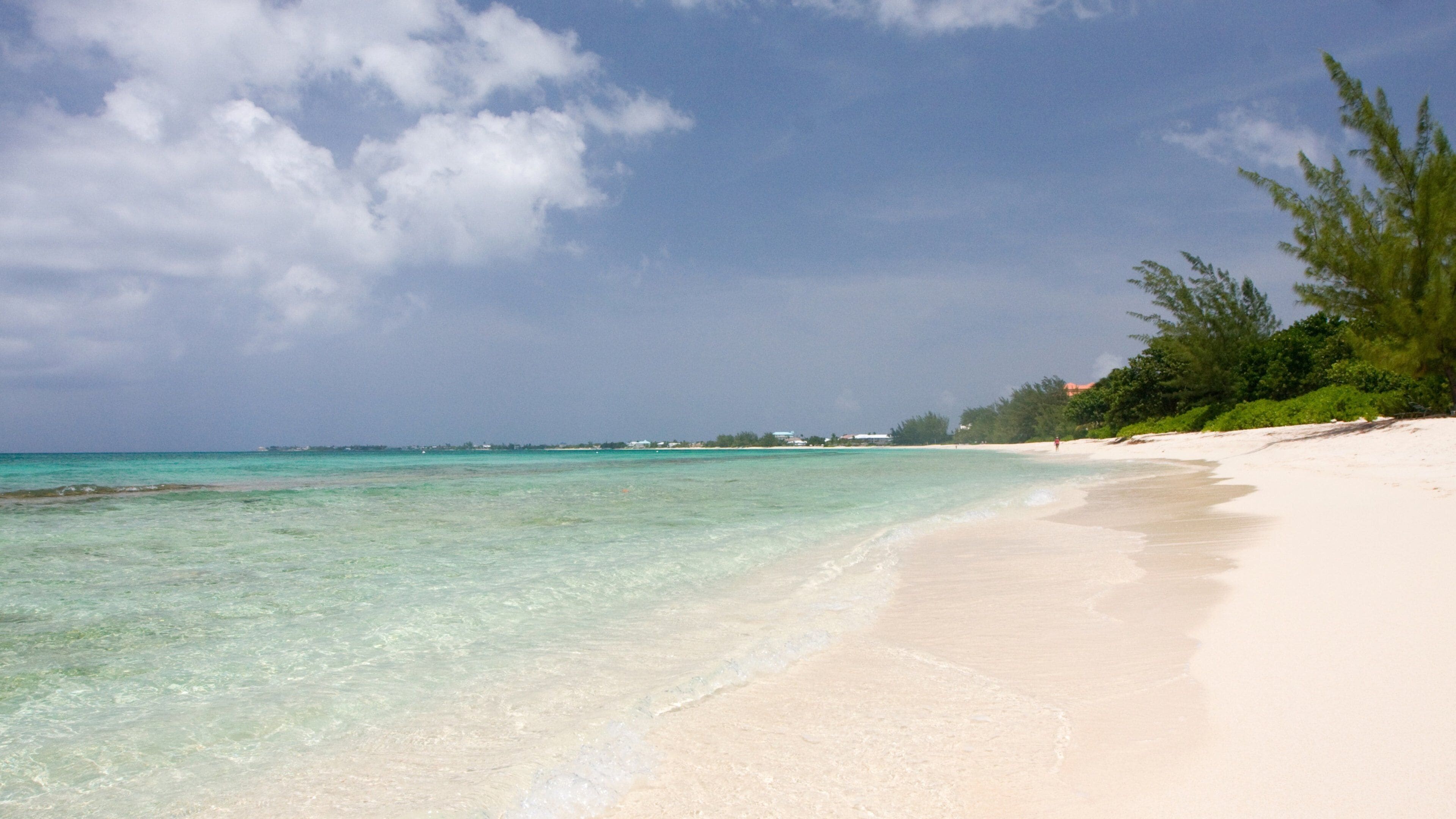 A beach with clear turquoise water, white sand, and a line of trees.