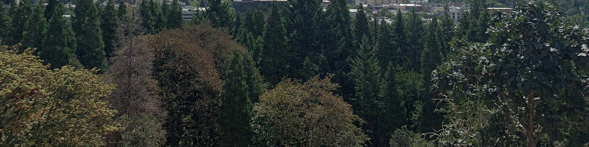 Skinner Butte Lookout, Eugene, OR