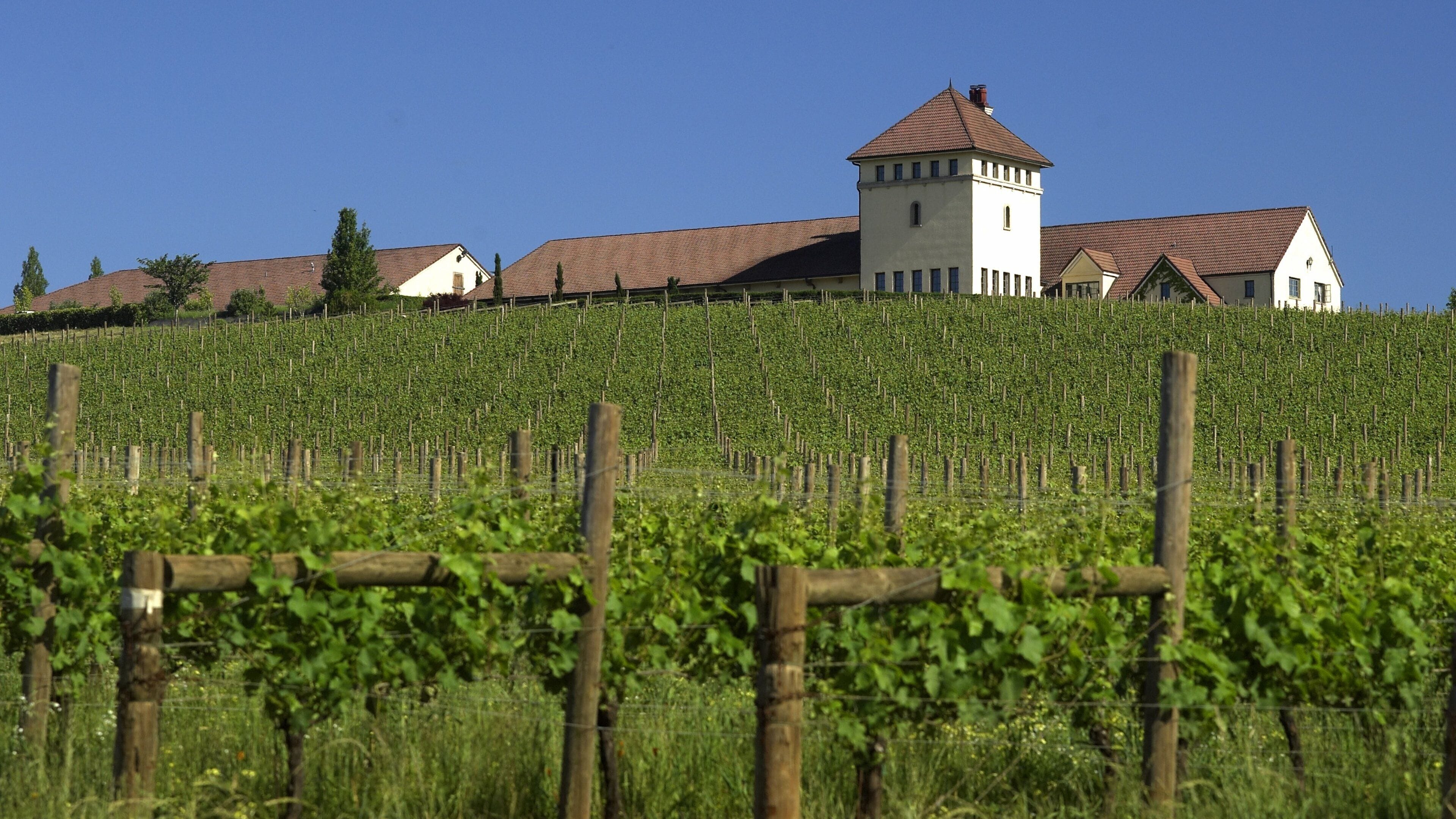 Eugene ofreciendo tierras de cultivo y una pequeña ciudad o pueblo