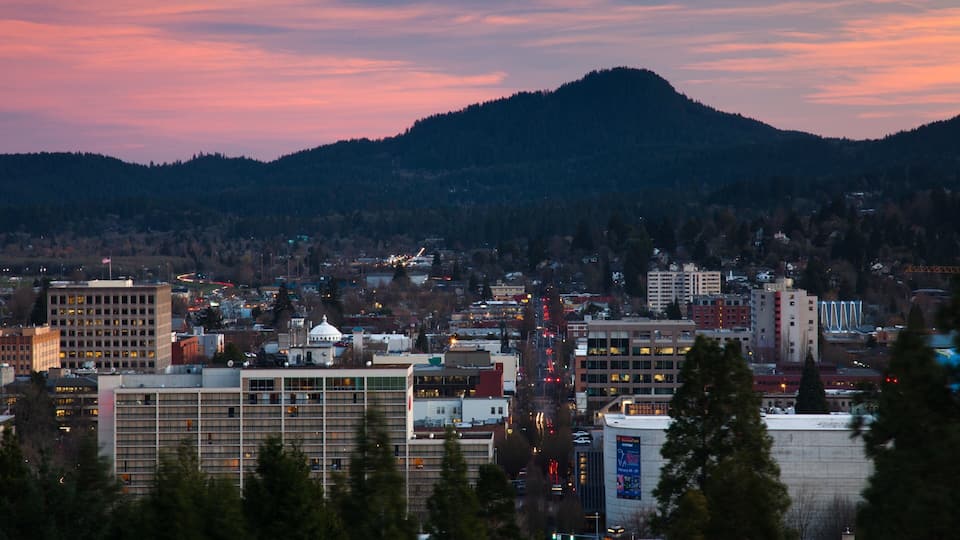 Une vue urbaine avec une montagne imposante en arrière-plan, entourée d’immeubles et d’arbres.