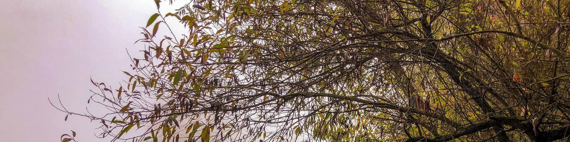 #OnTheRoad Eugene Oregon has great Bike trails along the Willamette River