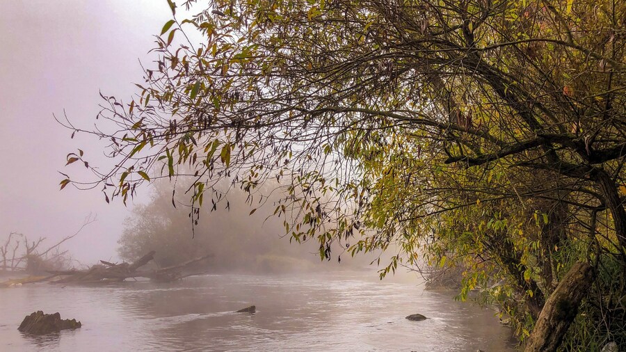 #OnTheRoad Eugene Oregon has great Bike trails along the Willamette River