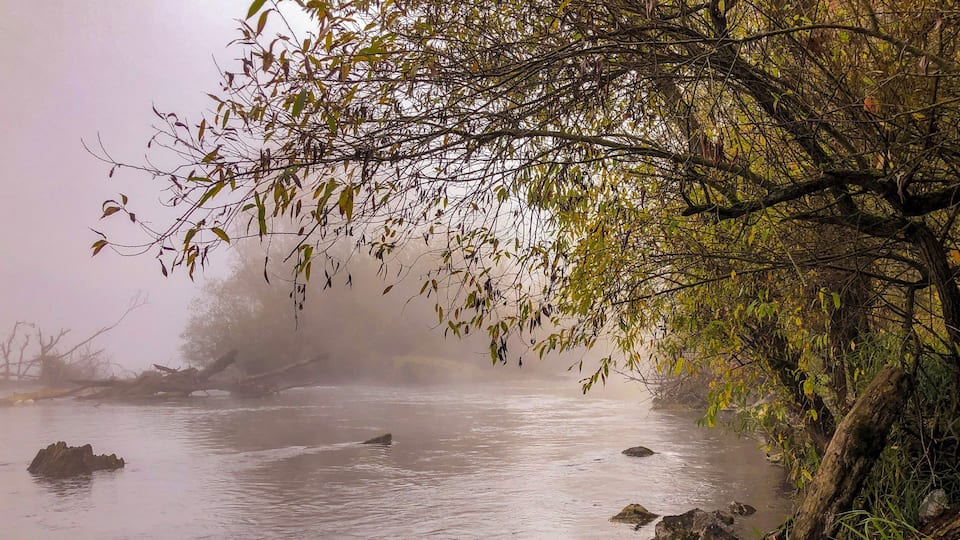 #OnTheRoad Eugene Oregon has great Bike trails along the Willamette River