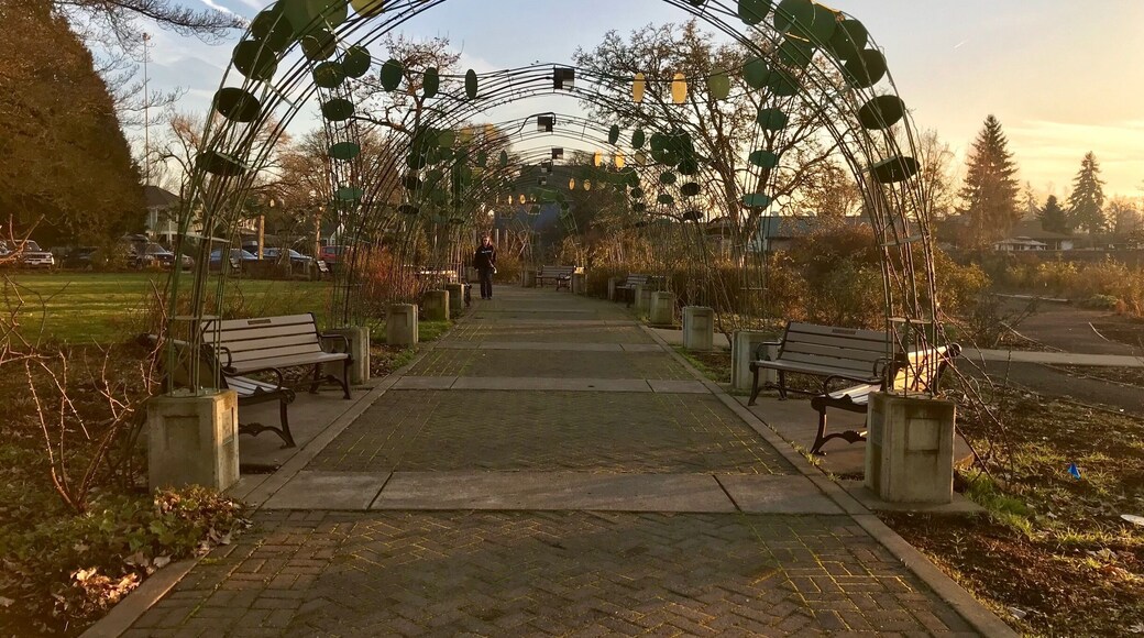 These must be beautiful when the roses are in bloom.