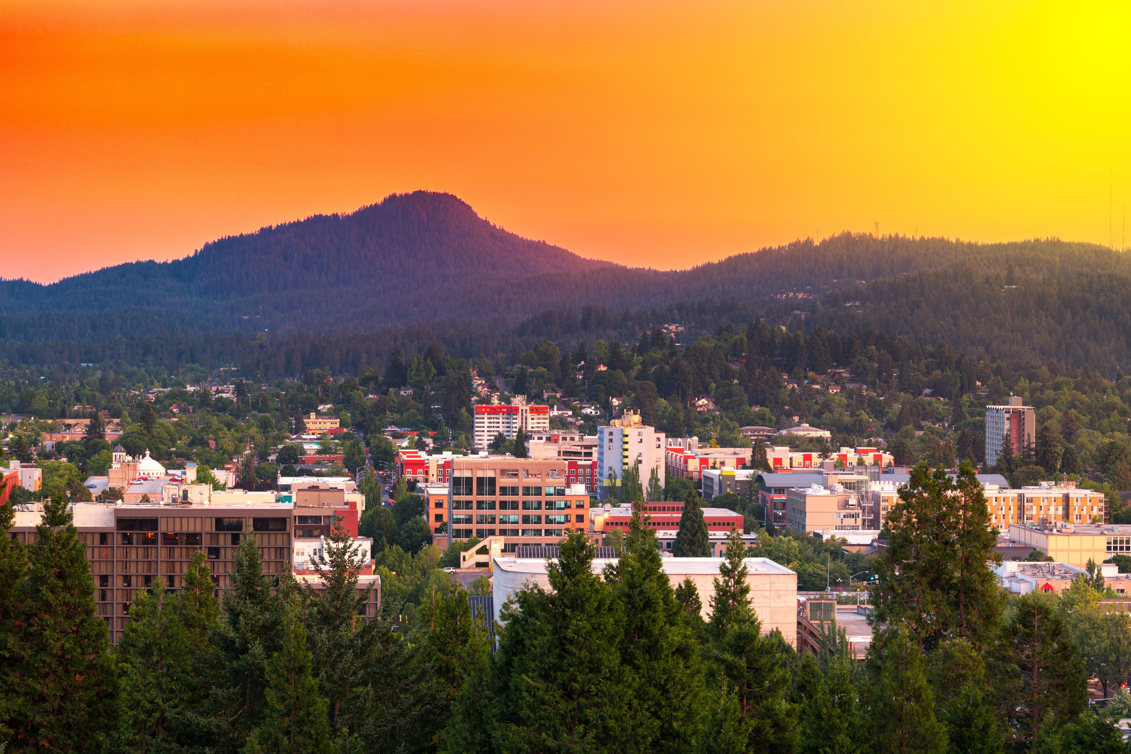 A cityscape with a mountain in the background and dense forest in the foreground.