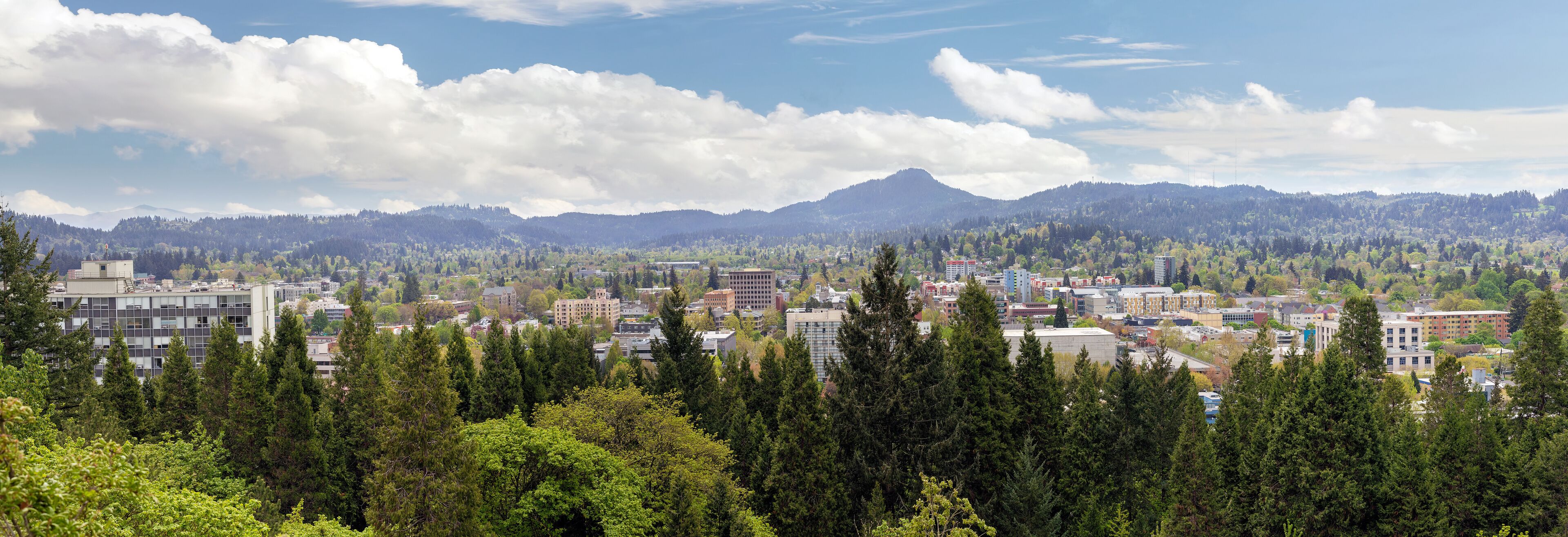 A cityscape with dense forest in the foreground, a mountain in the background, and a partly cloudy sky.