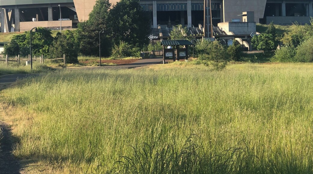 Visit to University of Oregon in beautiful Eugene, Oregon.