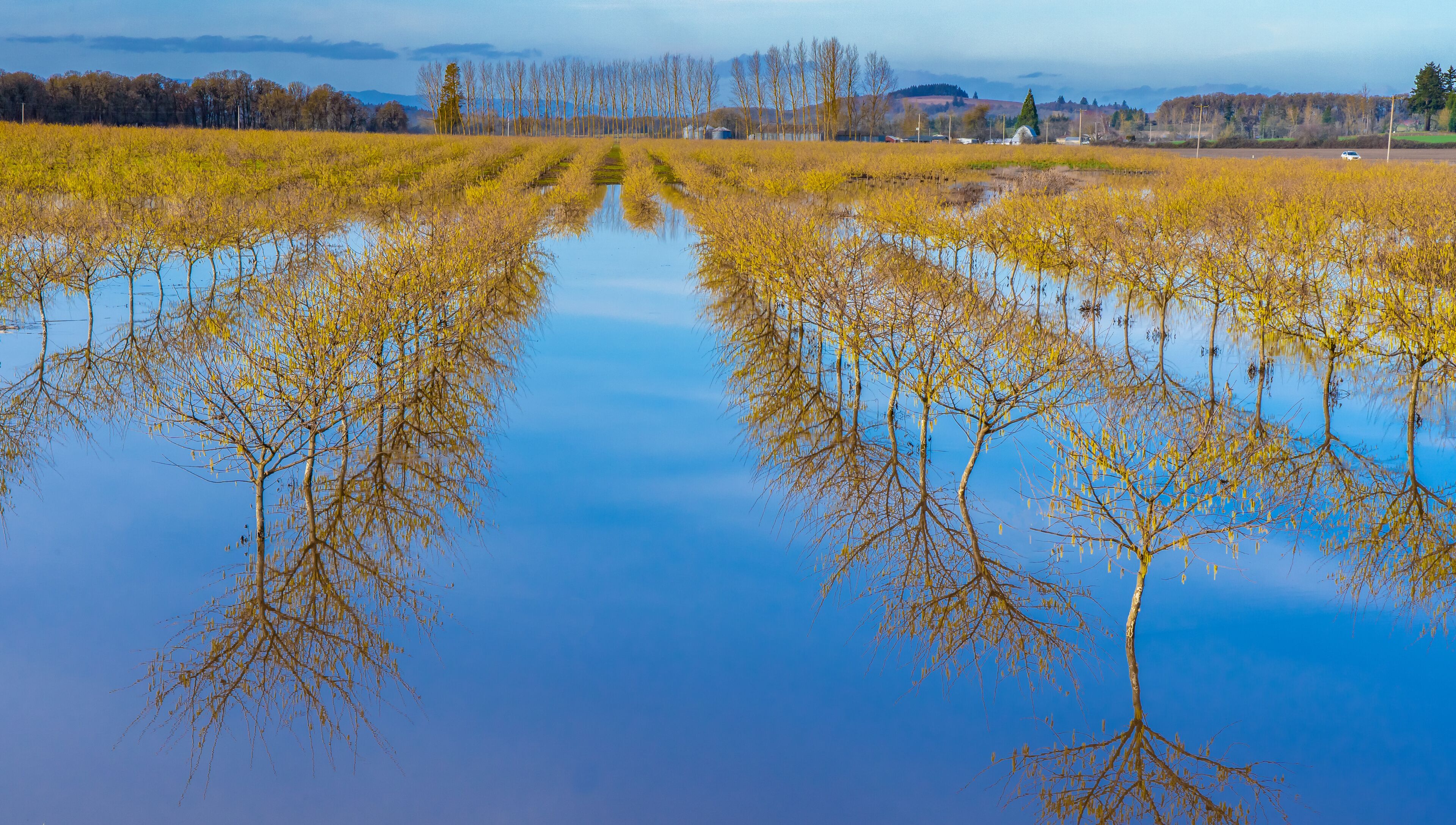 A flooded field with trees reflecting in the water, a clear sky, and distant buildings.