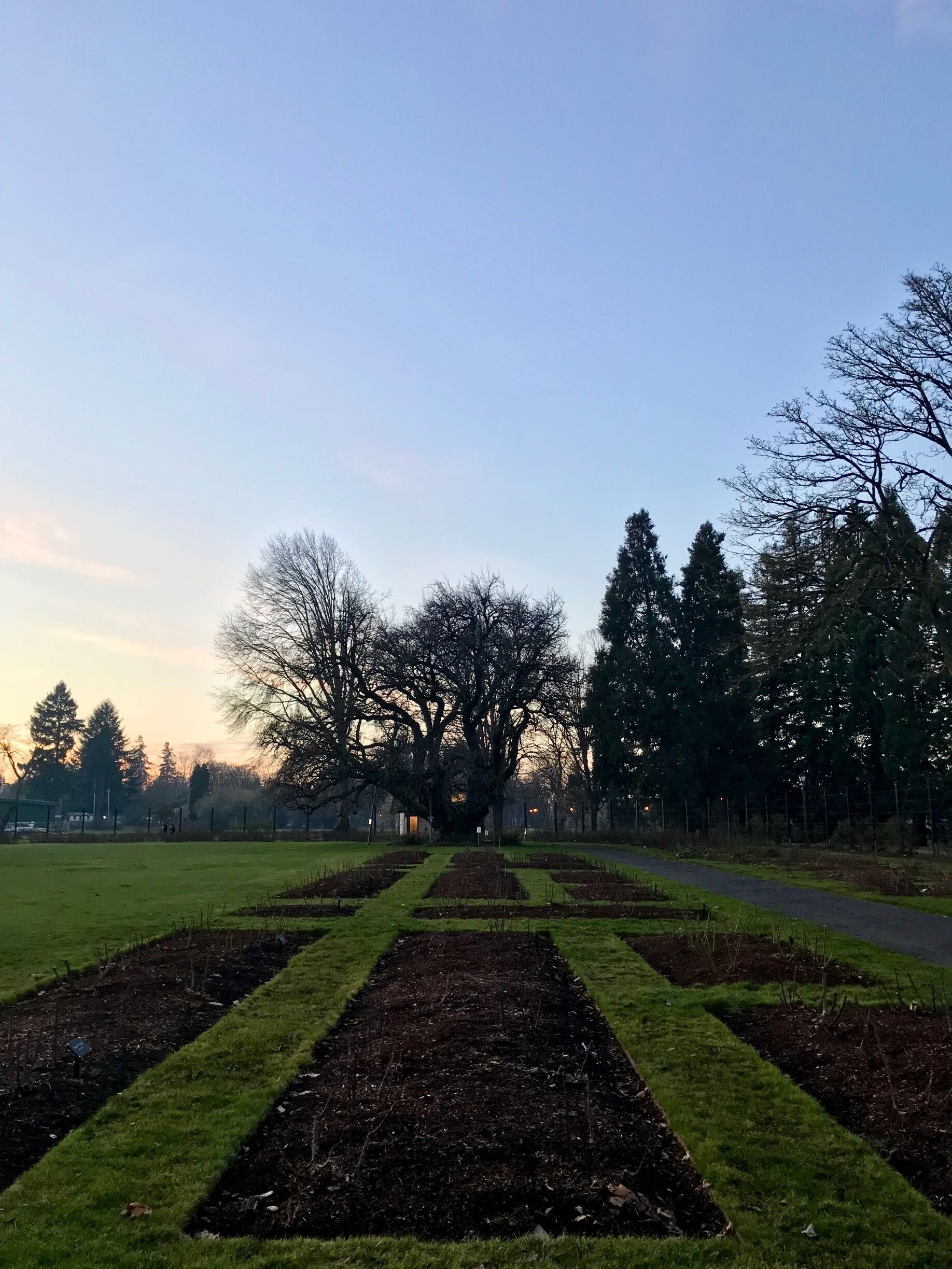 We stopped here at sunset. Even though the roses were not in bloom, it was a beautiful park.