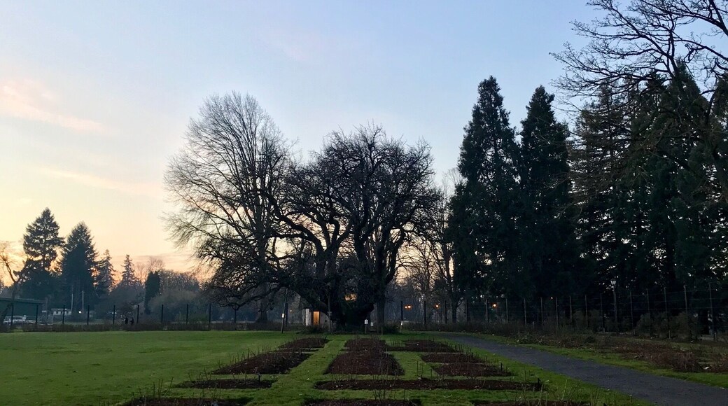 We stopped here at sunset. Even though the roses were not in bloom, it was a beautiful park.