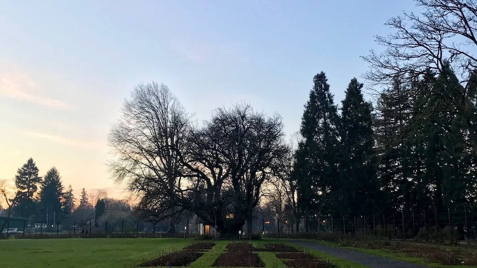 We stopped here at sunset. Even though the roses were not in bloom, it was a beautiful park.