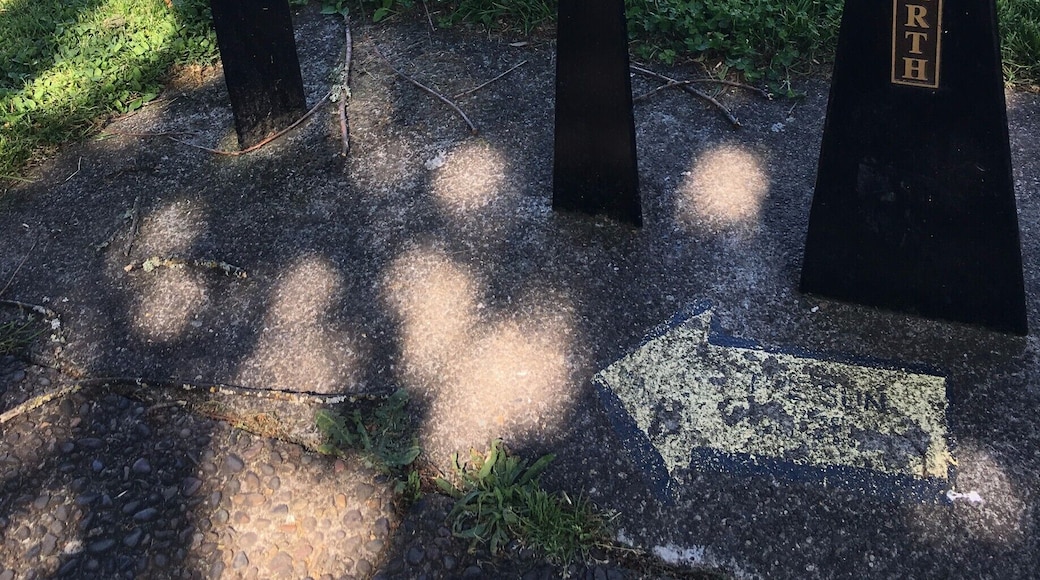 There is a to-scale model of the solar system in this park. Here, you will see a Portuguese Podengo Pequeno next to Earth.