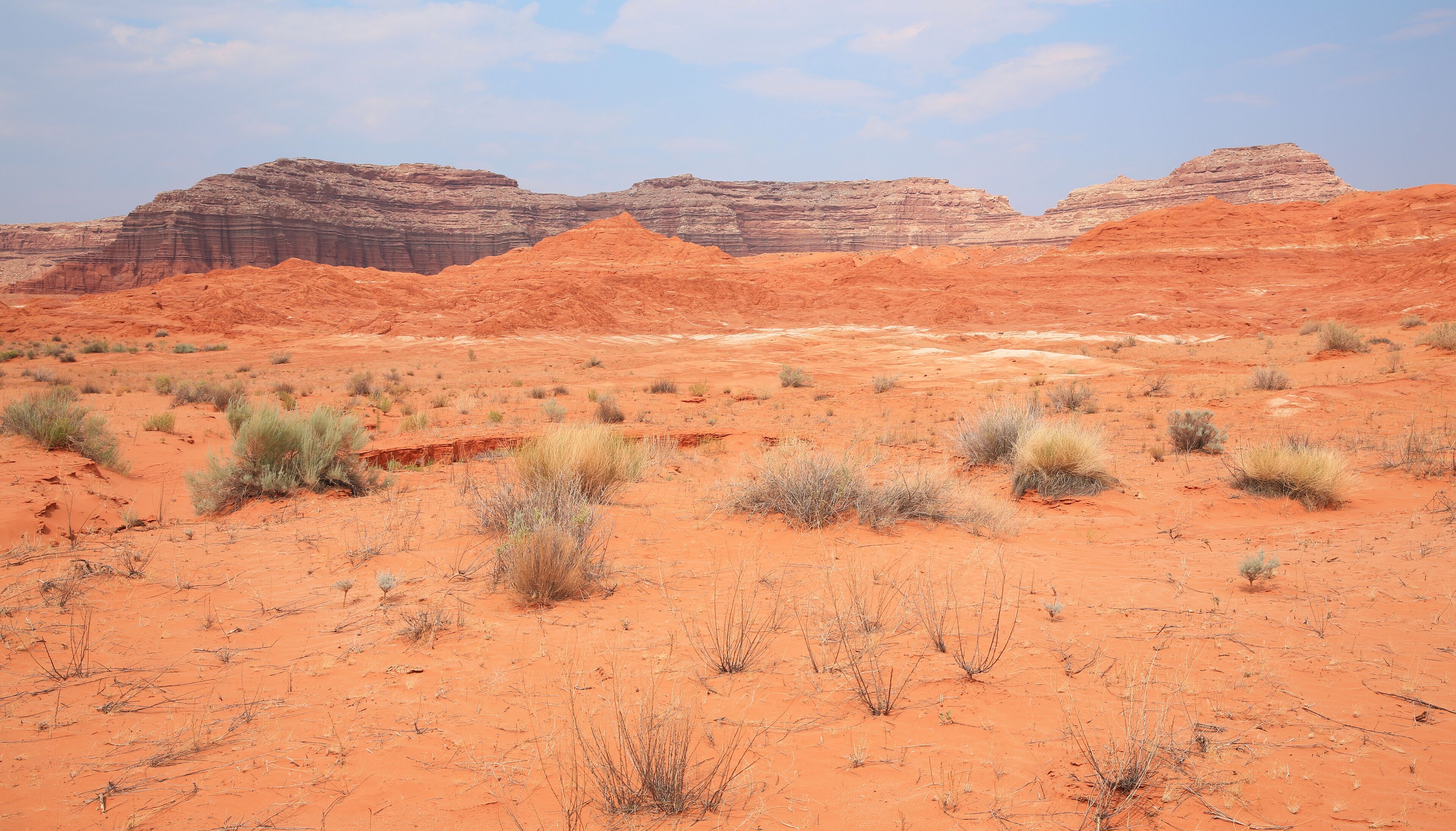 Wild canyons near Bullfrog in Utah, USA