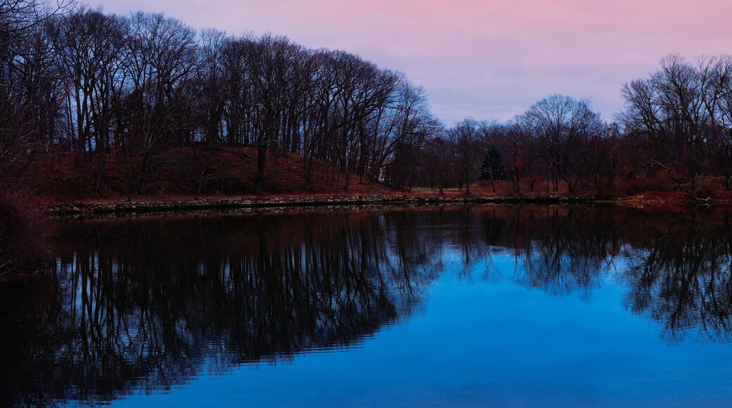 Greenwich Point Park Nature Preserve Seascape at the seafront trails and sandy stretch woodlands with water reflections and pink sky at sunrise in Old Greenwich, Connecticut, USA