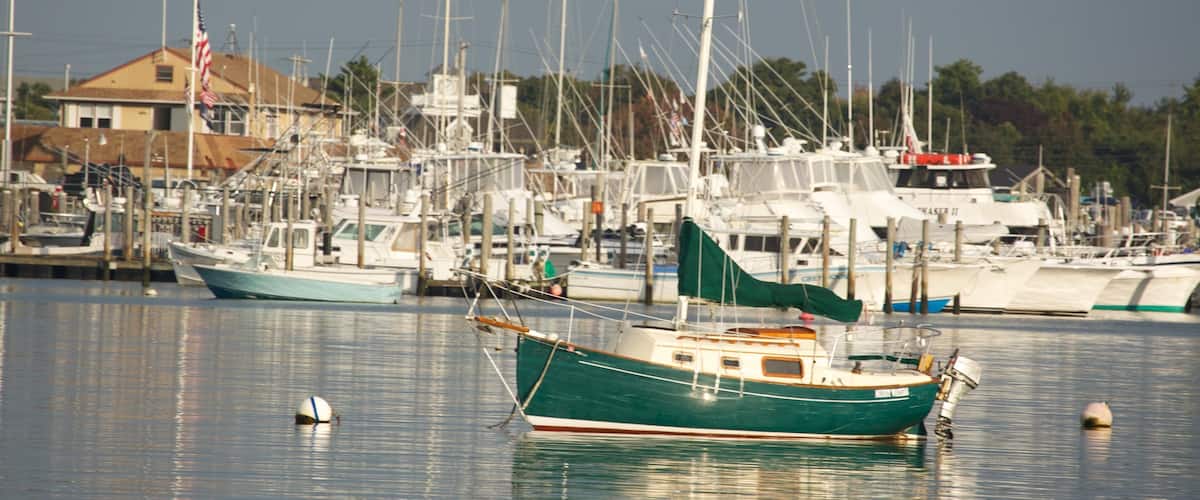 A marina with various boats docked, a house with an American flag, and a clear sky.
